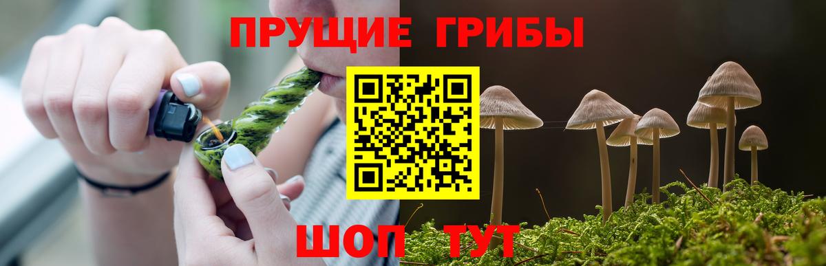 Галлюциногенные грибы ЛСД Рассказово